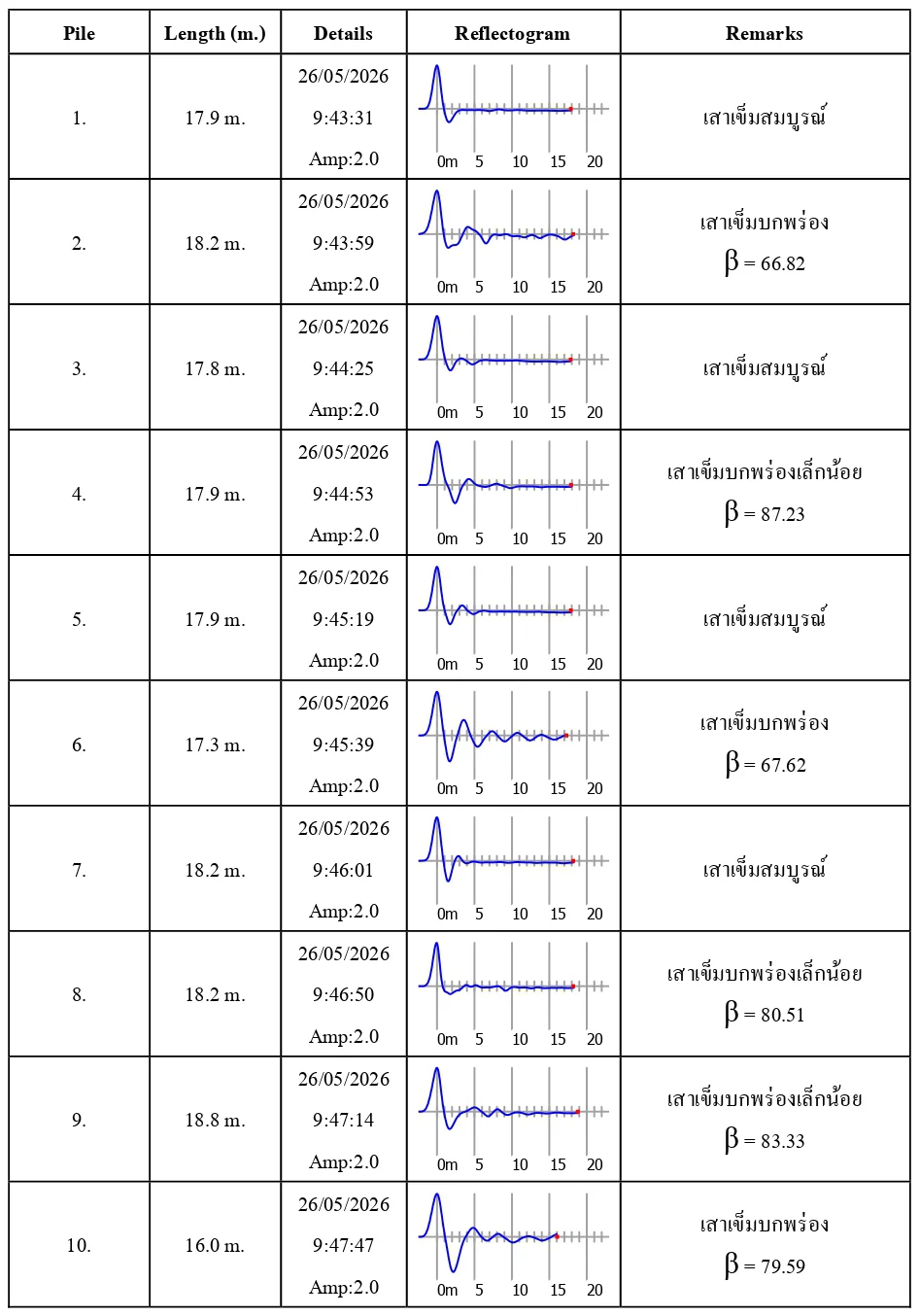 ตัวอย่างรายงาน Seismic Test พร้อม Reflectogram